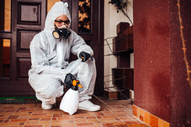 Reliable Ant Control contractor in Bogalusa, LA by Nex Pest Control