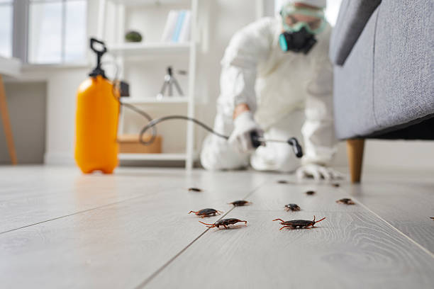 Trusted Cockroach Control service in Bogalusa, LA - Nex Pest Control